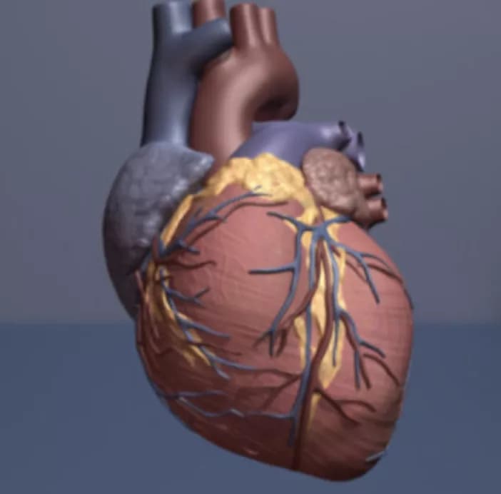 Image courtesy of American Heart Association