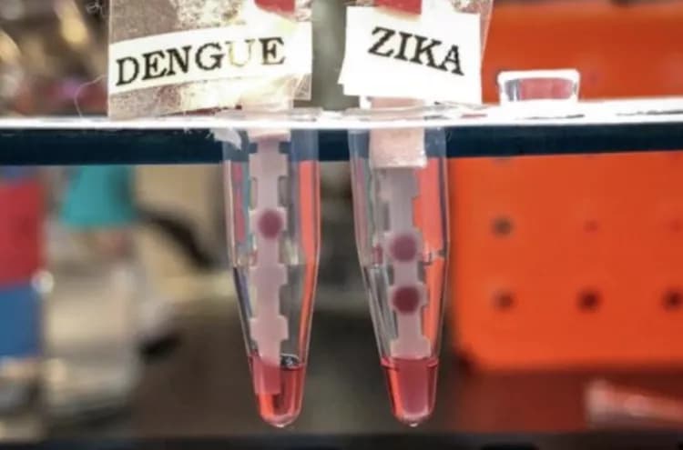 Courtesy of the researchers