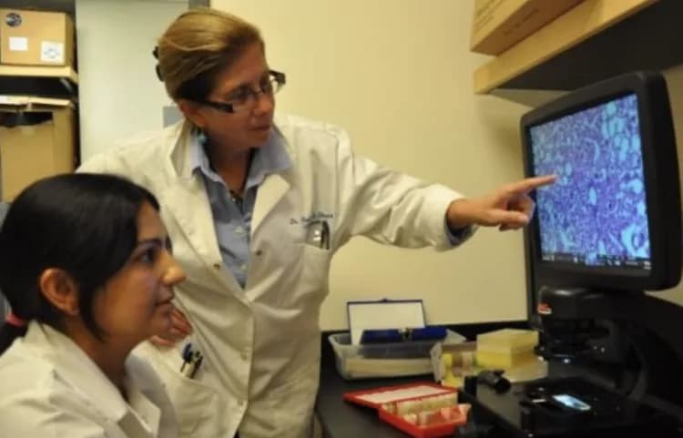 I. Pittalwala, UC Riverside.