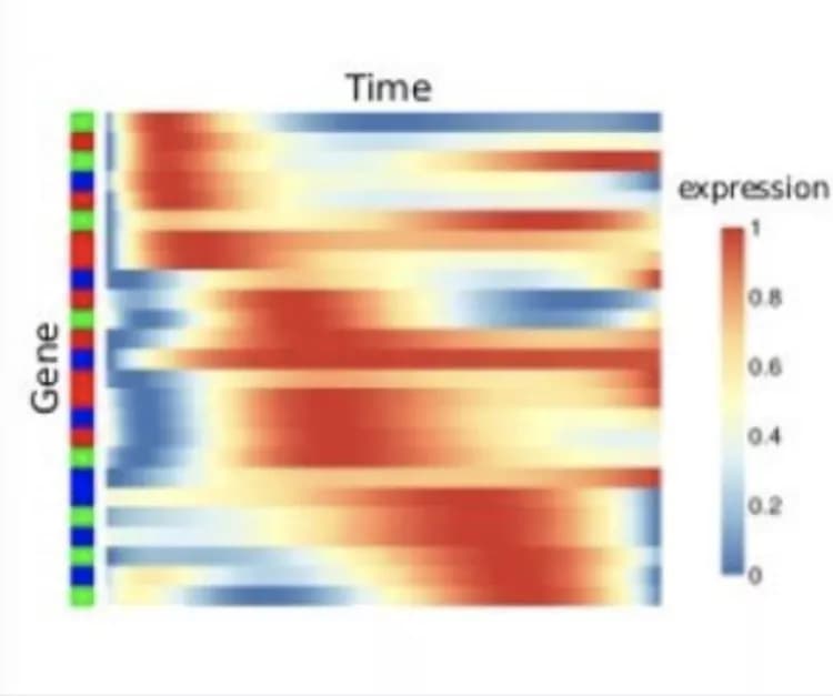 Rajanikanth Vadigepalli, Thomas Jefferson University