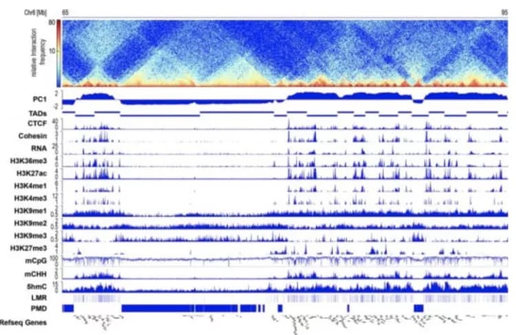 Institute for Experimental and Clinical Pharmacology and Toxicology