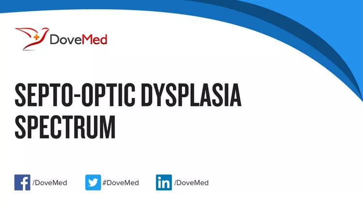 Are you satisfied with the quality of care to manage Septo-Optic Dysplasia Spectrum in your community?