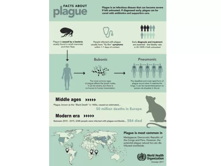 WHO Scales Up Response To Plague In Madagascar