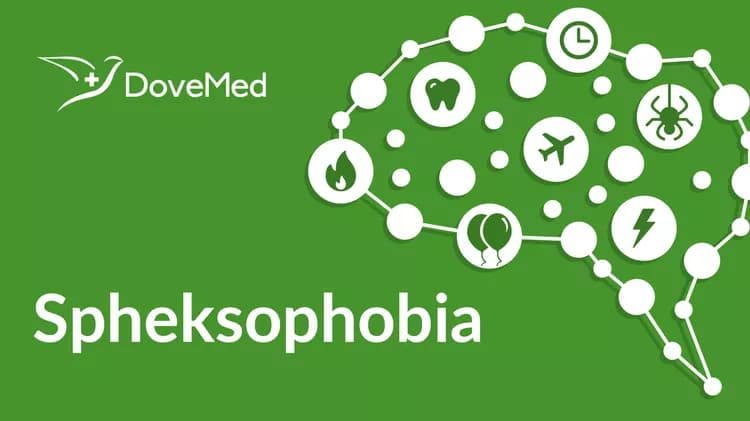 What is Spheksophobia?