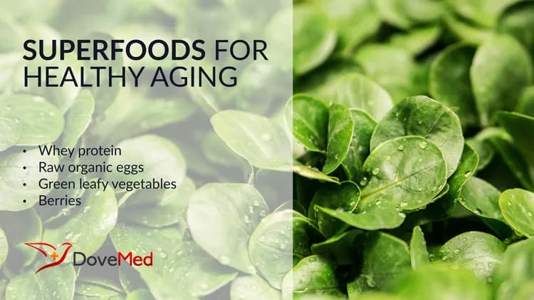 Superfoods For Healthy Aging