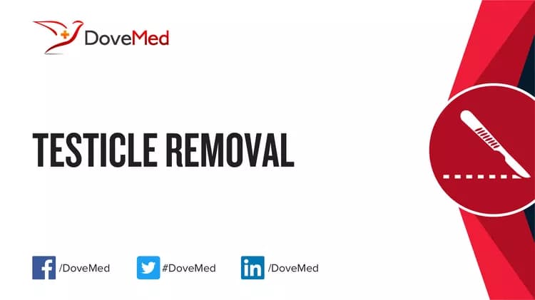 Testicle Removal