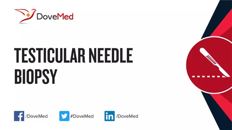 Testicular Needle Biopsy