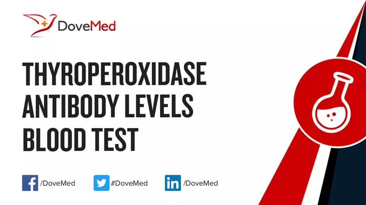 Thyroperoxidase Antibody Levels Blood Test