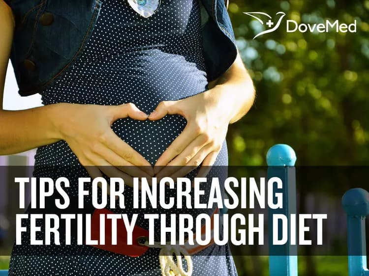 Tips For Increasing Fertility Through Your Diet