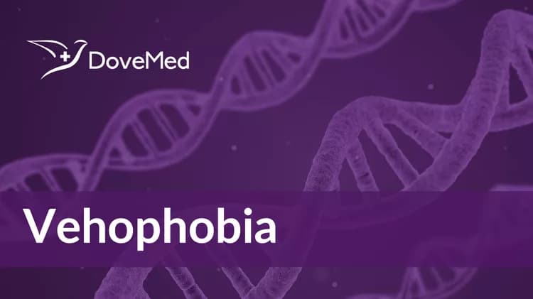 What is Vehophobia?