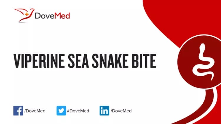Where are you most likely to encounter Viperine Sea Snake Bite?