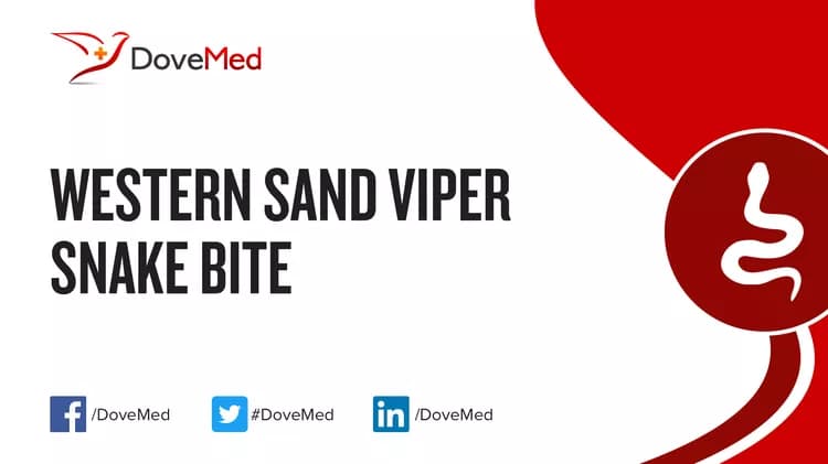 First Aid for Western Sand Viper Snake Bite