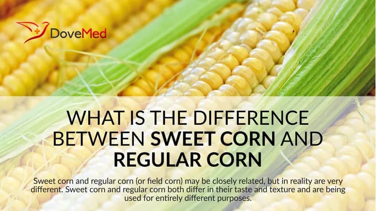 What Is The Difference Between Sweet Corn And Regular Corn?