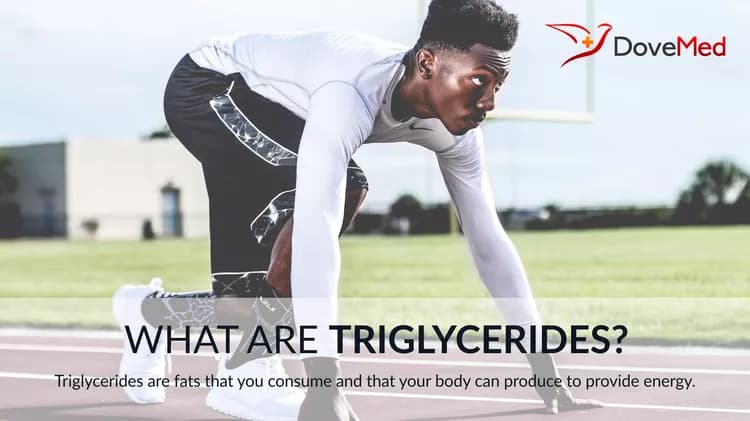 What Are Triglycerides?
