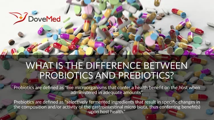 What Is The Difference Between Probiotics And Prebiotics?