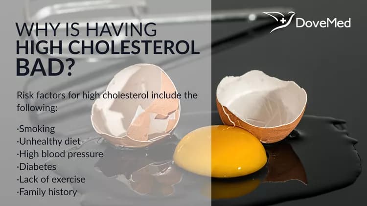 Why Is Having High Cholesterol Bad?