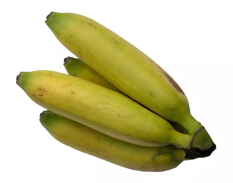 A Better Understanding Of Bananas Could Help Prevent Blindness