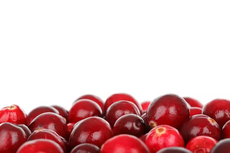 7 Influencing Facts Of Cranberries