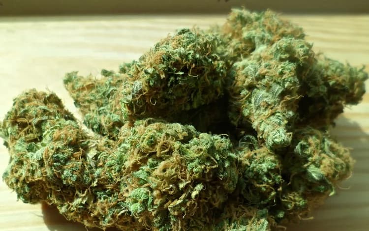 New Test For Second-Hand Marijuana Exposure
