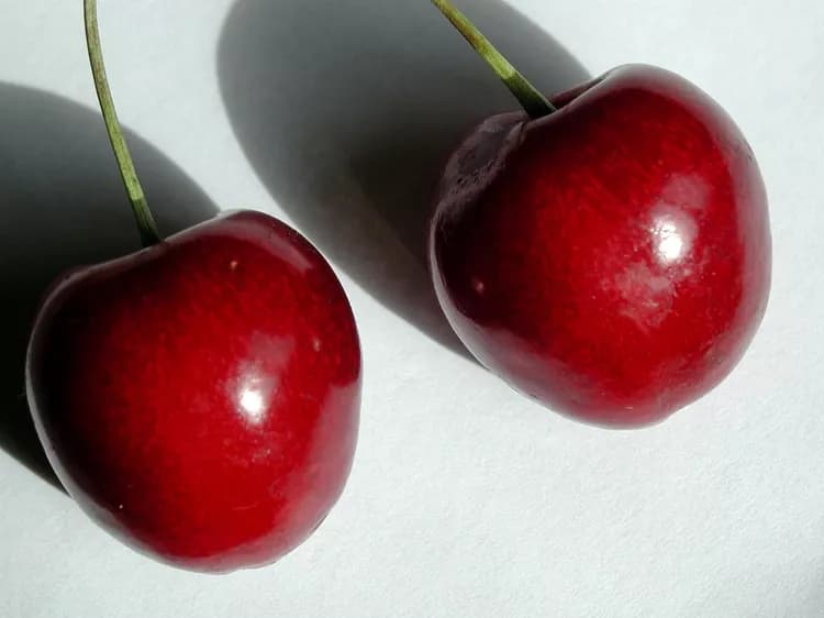 High Blood Pressure Lowers Significantly After Drinking Tart Montmorency Cherry Juice