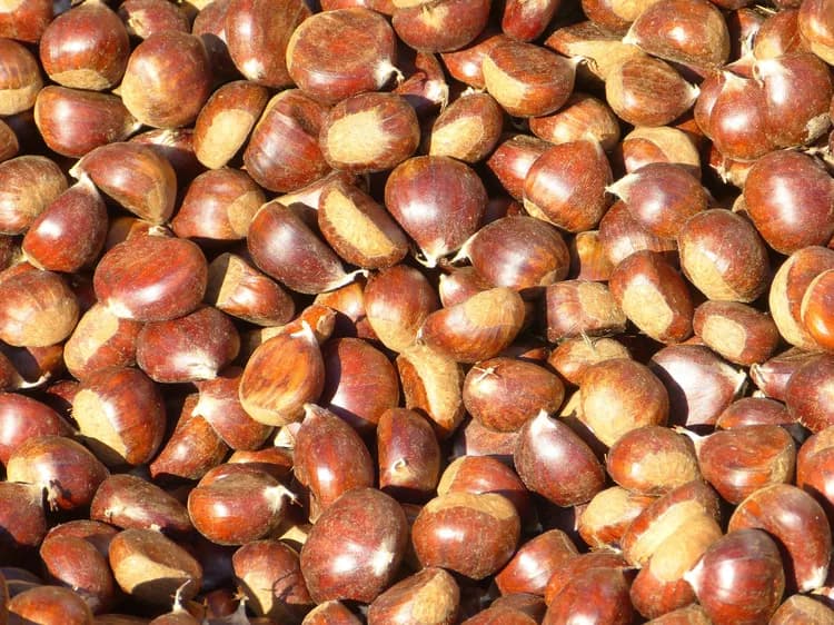7 Health Benefits Of Chestnuts
