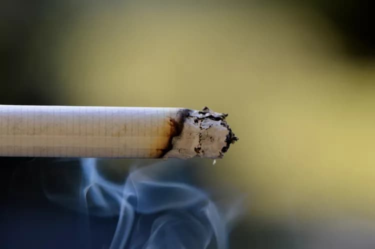 Smoking Cessation Benefits Persist In Spite Of Weight Gain In Patients With Mental Illness