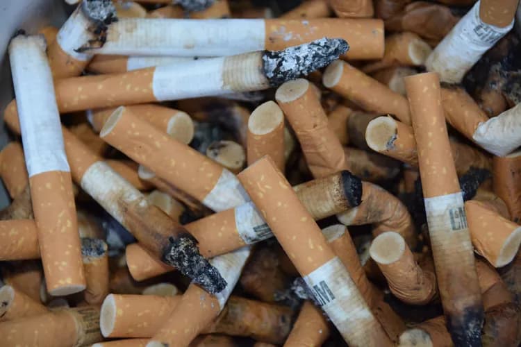 native american tobacco sales Indian Tribes Make Own Cigarettes to Avoid N.Y. Tax native american tobacco sales Indian Tribes Make Own Cigarettes to Avoid N.Y. Tax