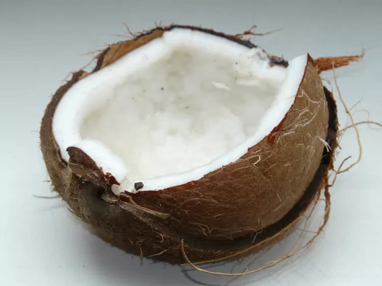 Animal Study: Coconut Oil May Control Overgrowth Fungal Pathogen In GI Tract