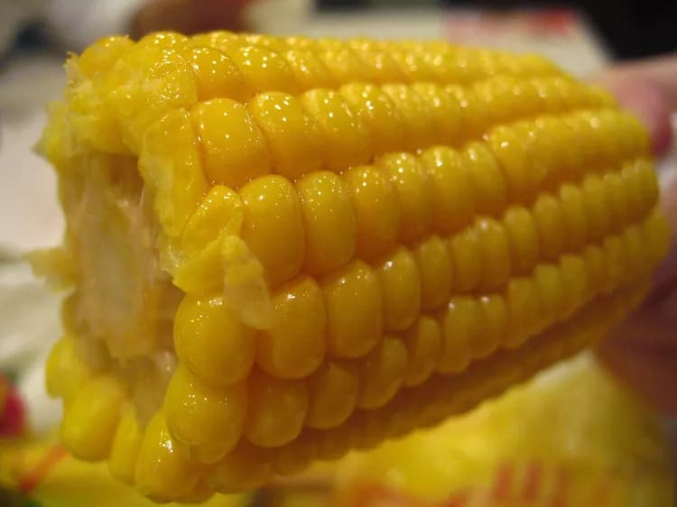 7 Health Benefits Of Sweet Corn