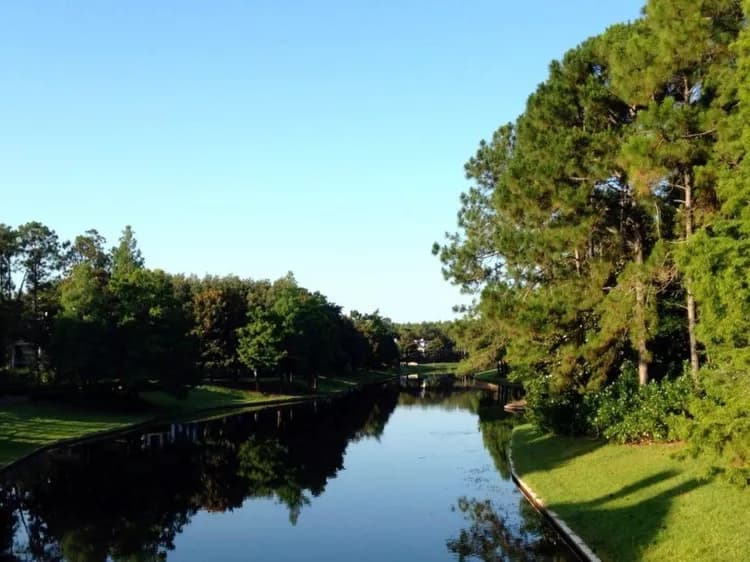 Mindfulness: What Is It, And Where Does It Come From?