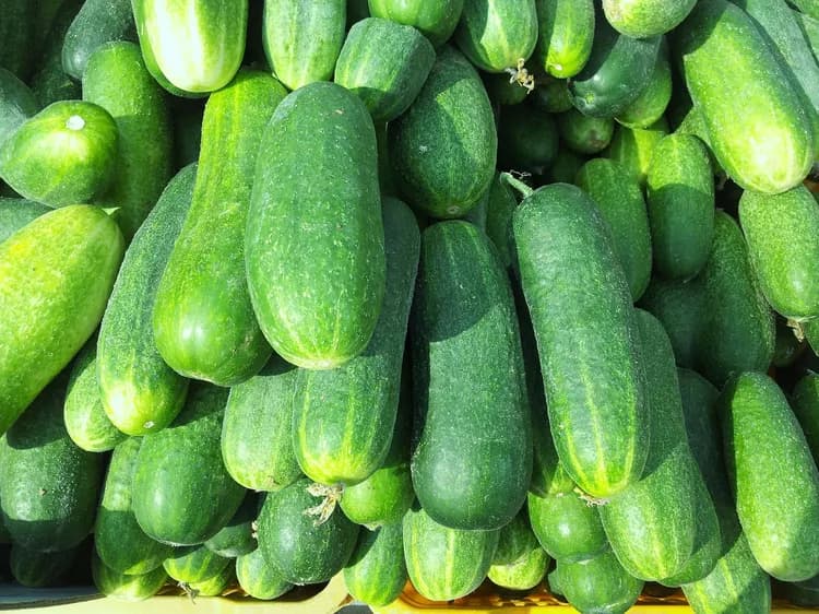 What Are The Health Benefits Of Cucumbers?