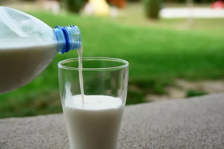Is Milk The Best Source Of Vitamin D?