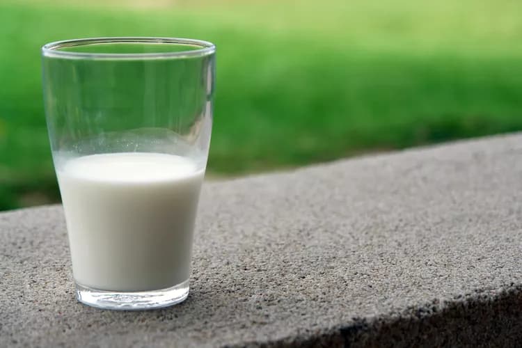 Should You Drink Raw Milk?