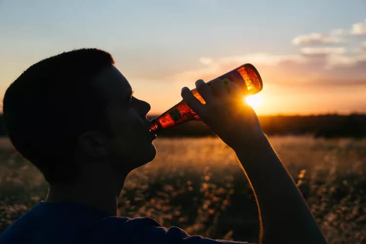 Heavy Alcohol Use Alters Brain Functioning Differently In Young Men And Women