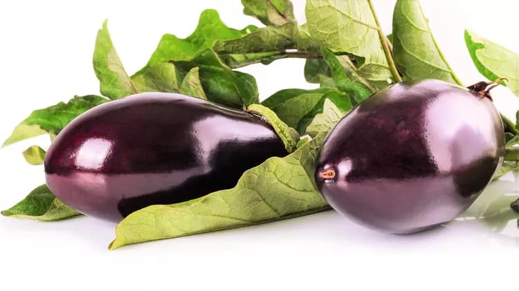 7 Health Benefits Of Eggplants
