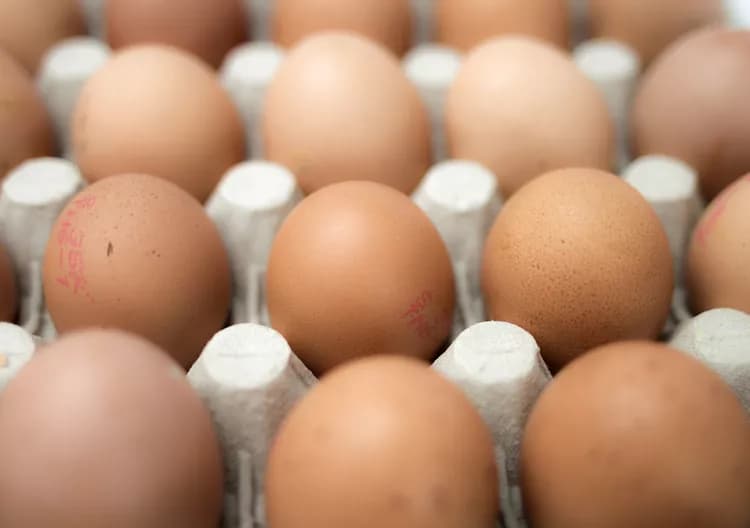 Are Organic Eggs Healthier Than Regular Eggs?