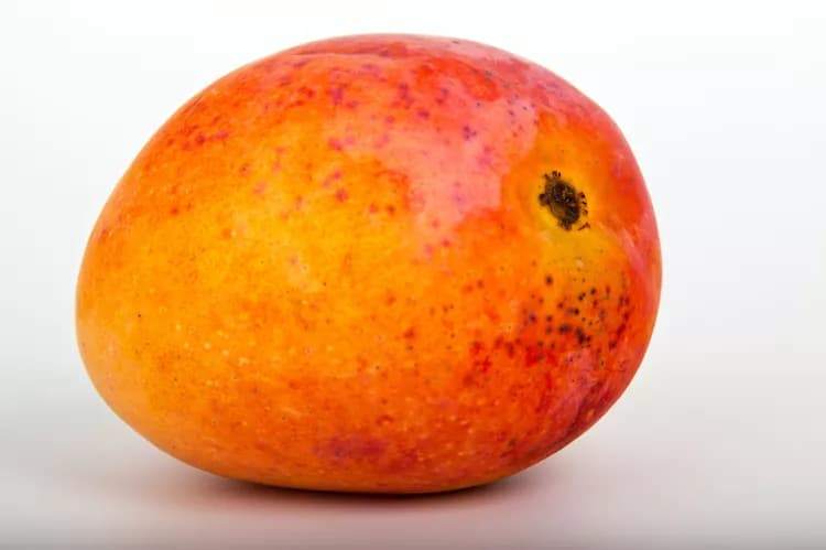 Absorption Of Polypehnolic Compounds In Mangoes Shows Potential Benefits To Human Health