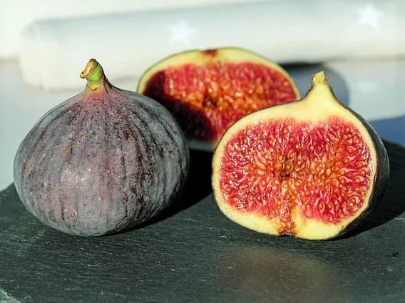 7 Unique Powers Of Figs