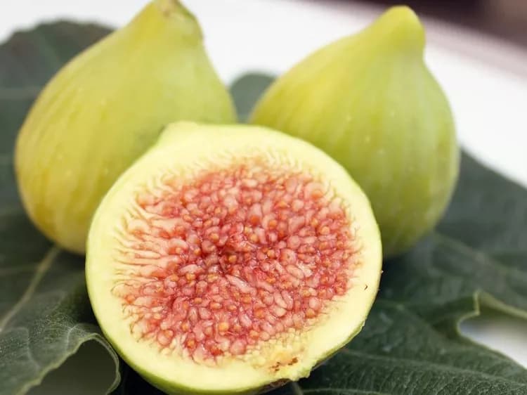 7 Health Benefits Of Figs