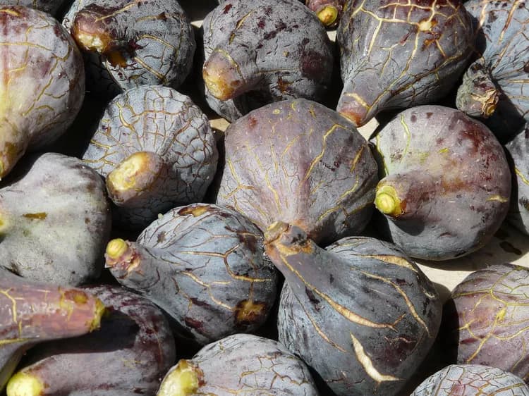 What Are The Health Benefits Of Figs?