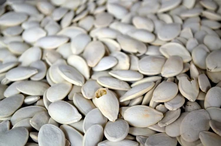 What Are The Health Benefits Of Pumpkin Seeds?