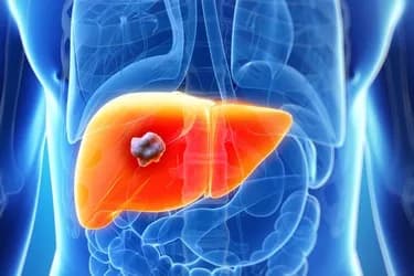 Scientists Root Out 'Bad Seeds' Of Liver Cancer