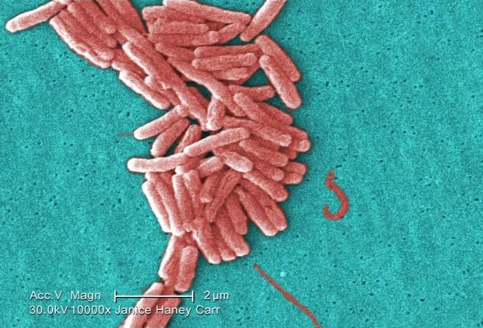 A Quarter Of Nursing Home Residents Are Colonized With Drug-Resistant Bacteria