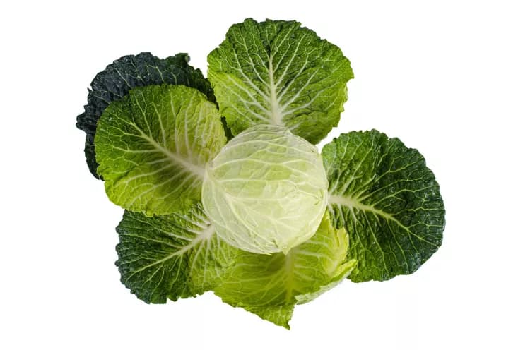 7 Reasons Why Your Mom Was Right About Cabbage