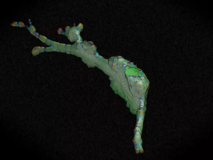 Gaudenz Danuser, Harvard Medical School