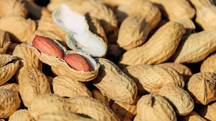 7 Health Benefits Of Peanuts