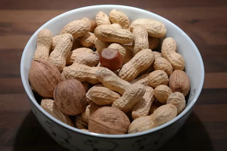 Nuts May Offer Protection Against Death From Various Diseases