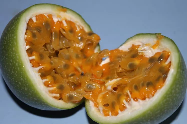 7 Exciting Facts About Passion Fruit