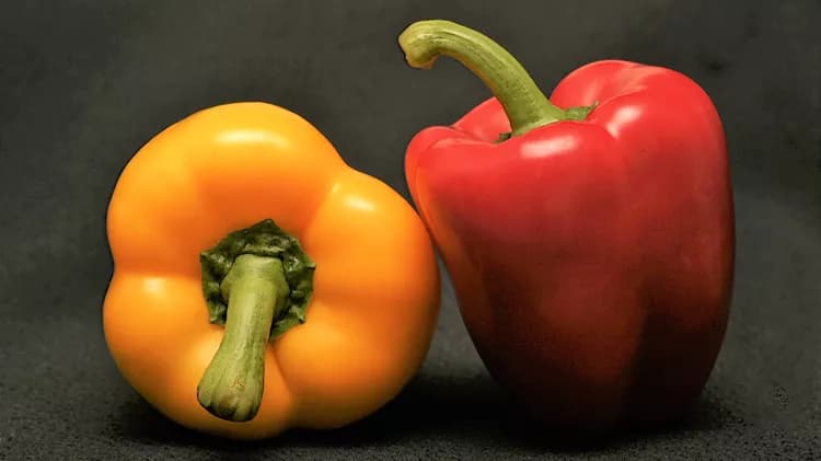 7 Health Benefits Of Bell Peppers