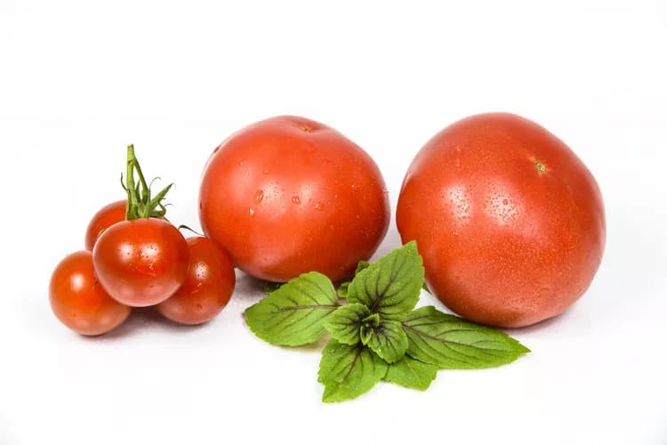 7 Health Benefits Of Tomatoes